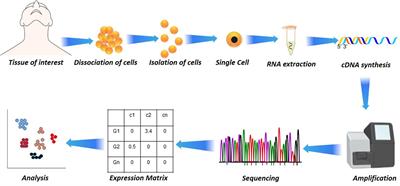 Single-Cell Transcriptomics: Current Methods and Challenges in Data Acquisition and Analysis